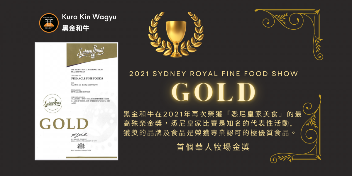 Gold Modern Book Reader Award Certificate (2)