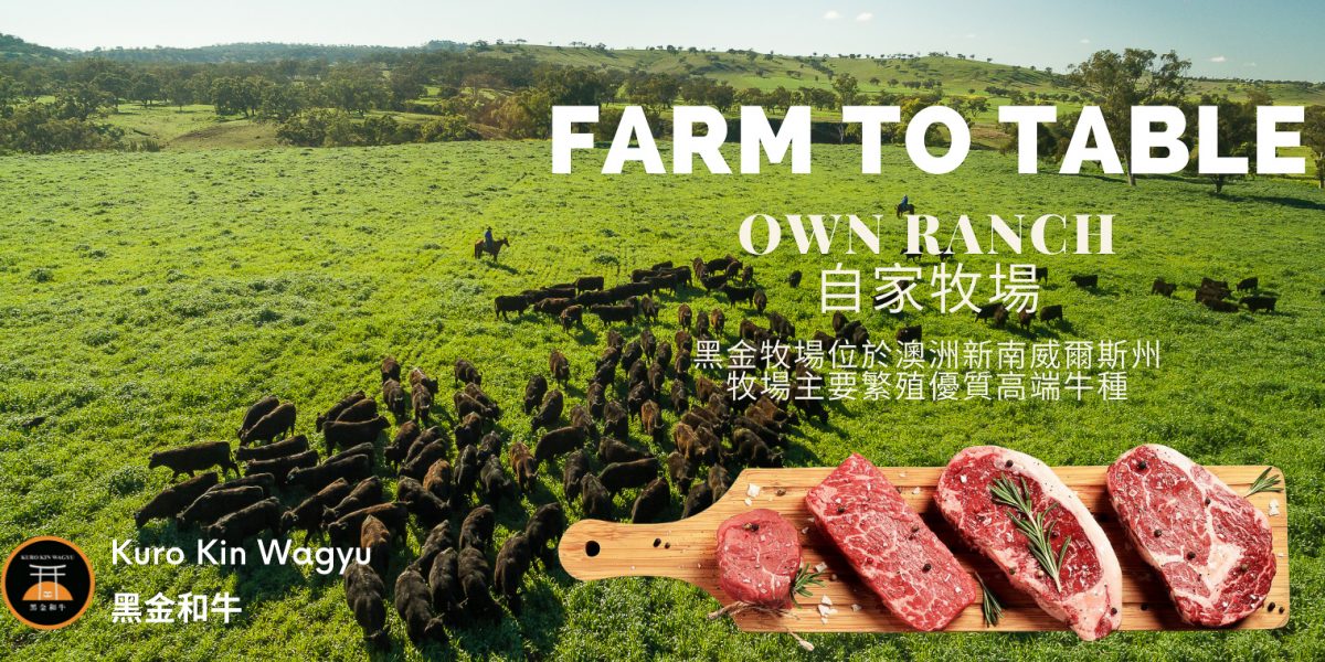 Green And Gold Overlay Fresh Foods Facebook Cover