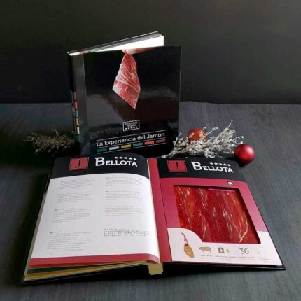FCAA ENRIQUE TOMAS Hambook resize
